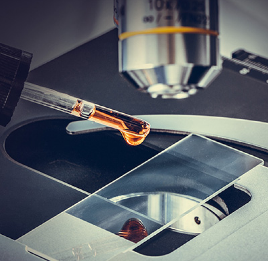 Synomics_Placement_Imagery2-2